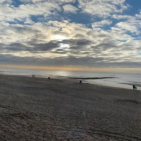 Strandslag 153 Aan Zee Apartment *