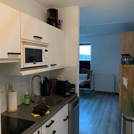 Strandslag 153 Aan Zee Apartment *